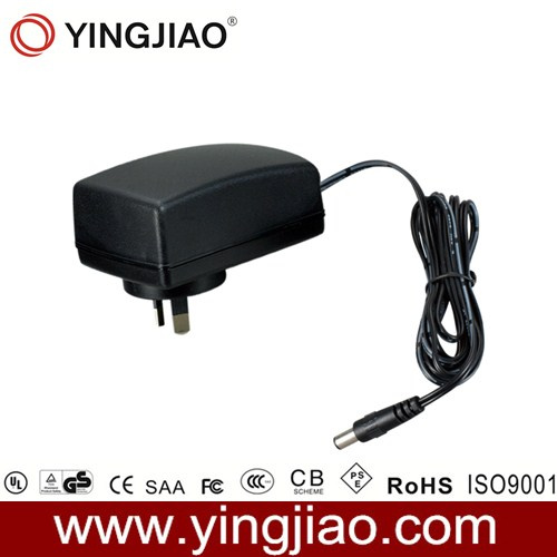 Us Plug in Switch Mode Adapter