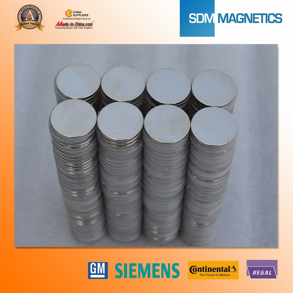 Magntic Segment Permanent Rare Earth Neodymium Magnet