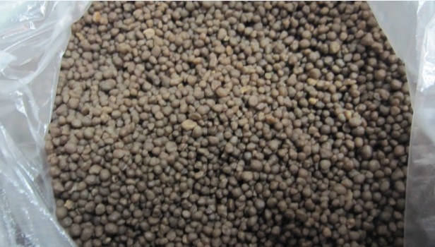 DAP Fertilizer 18-46-0 for Crop