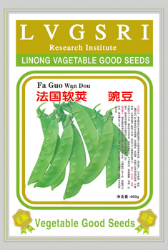 French Soft-Pod Snow Bean Seeds (988)
