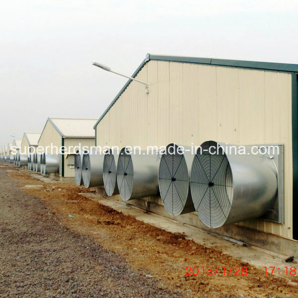Full Set Light Steel Structure Poultry House