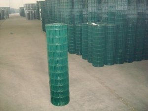 Galvanized Wire Mesh