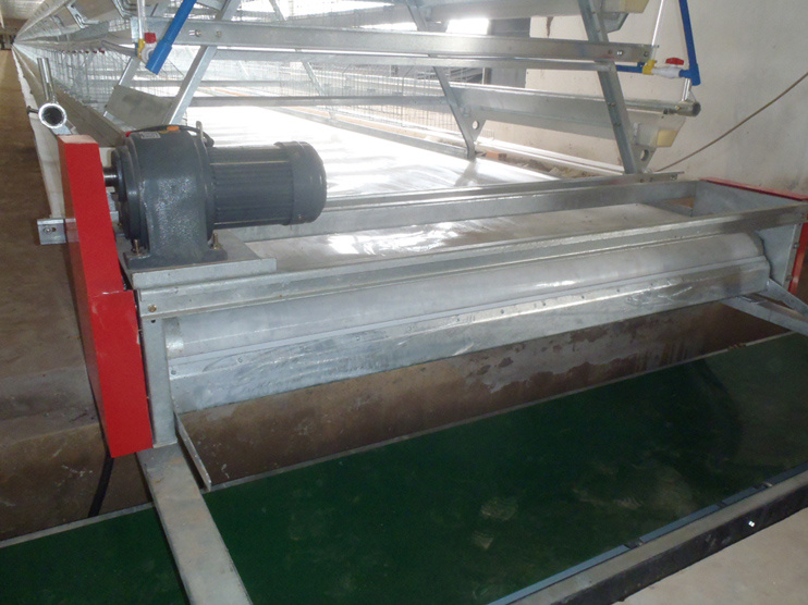 Manure Removal System