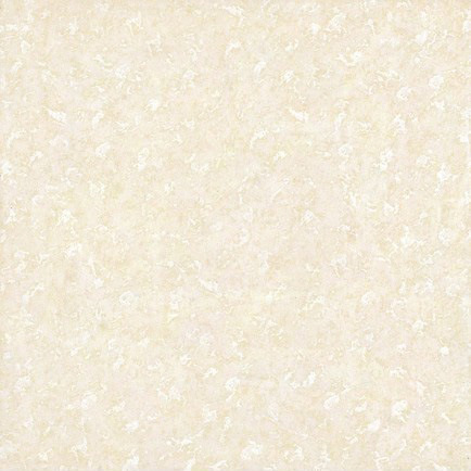 Polished Porcelain Tile Soluble Salt Series 600x600 (SAA6821)