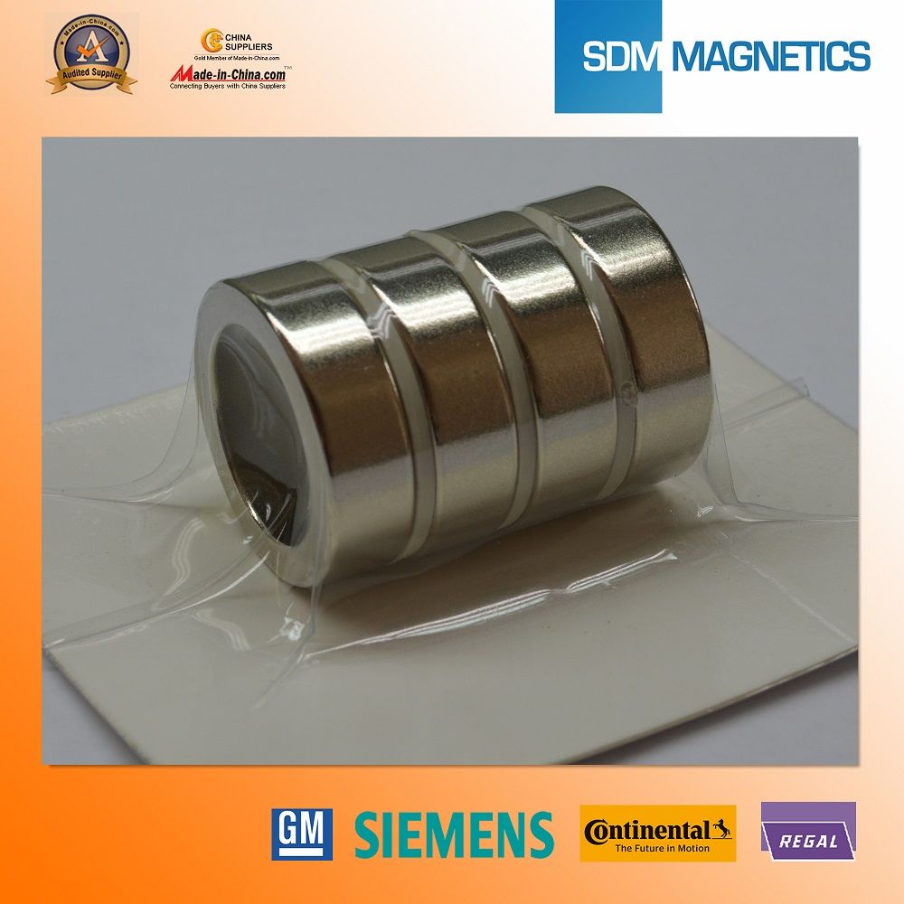 N50 Magntic Segment Generator Magnet