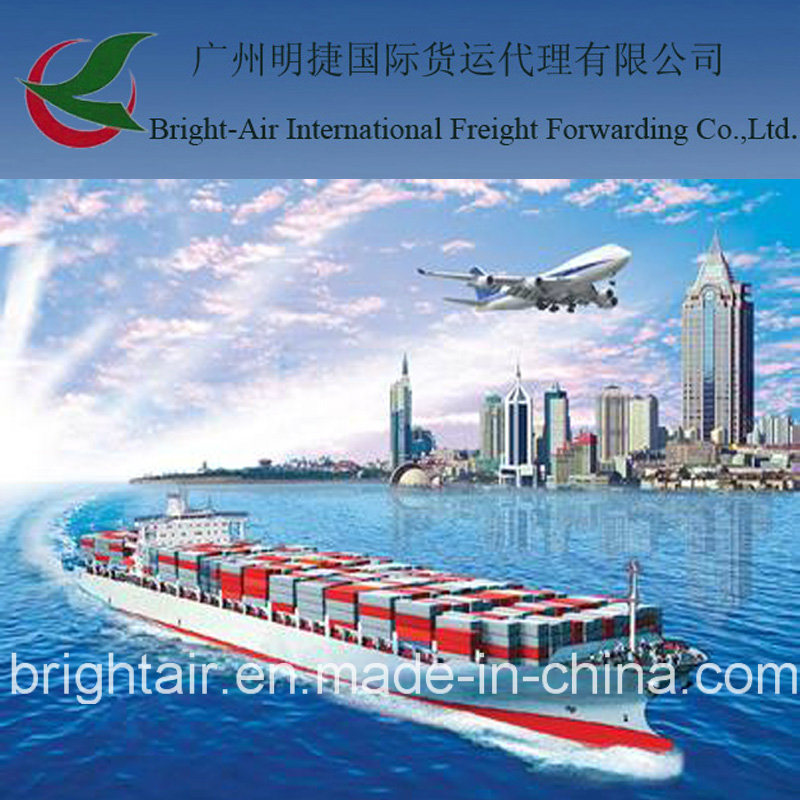 20ft 40ft Container Sea Freight From China to Argentina