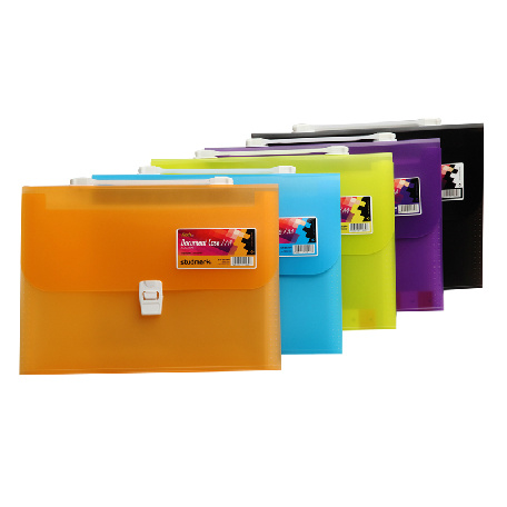 Document Case with Handle (DP00266)