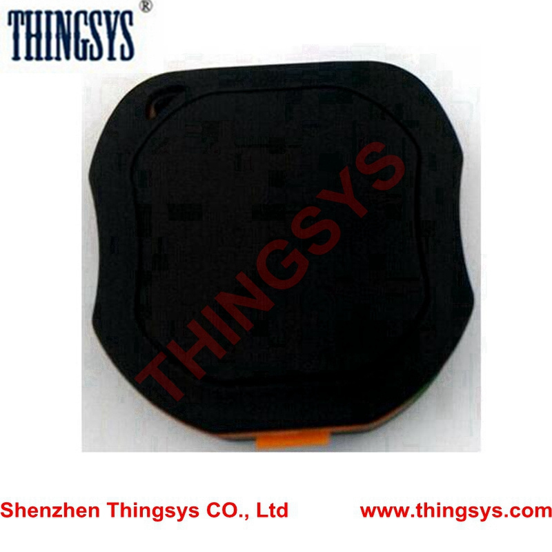 GPS Platform and Platform Software
