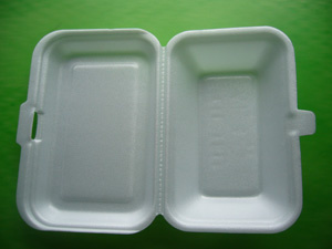 Disposable Tableware - 2