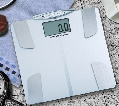 Body Fat Scale