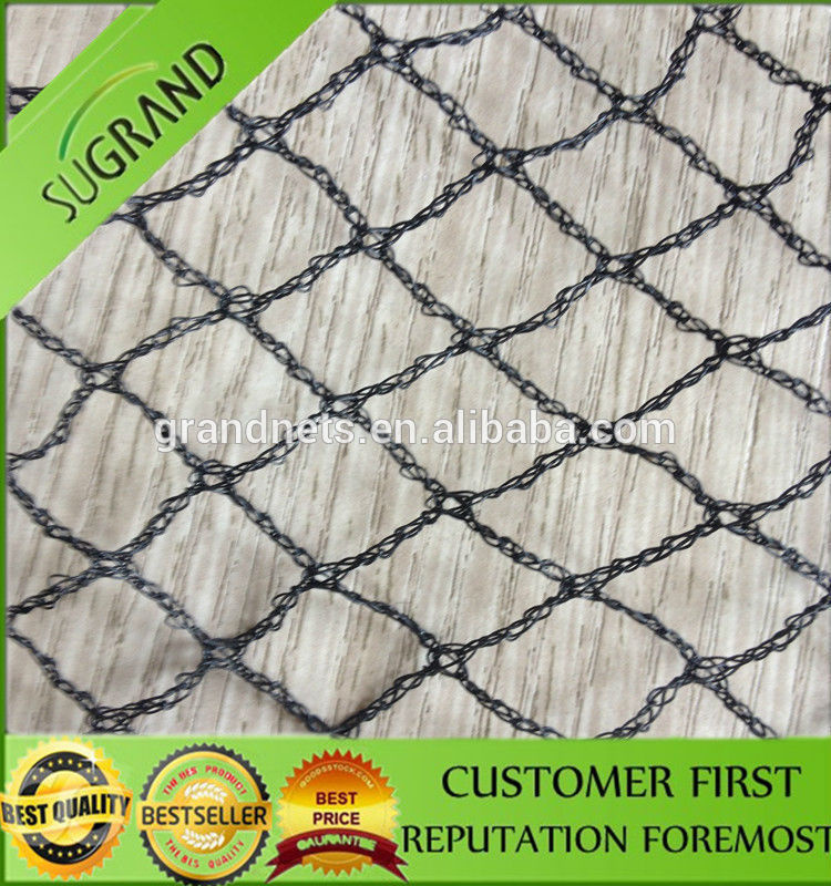 Eco-Friendly Recycled Agriculture Anti-Bird Netting on Vineyard