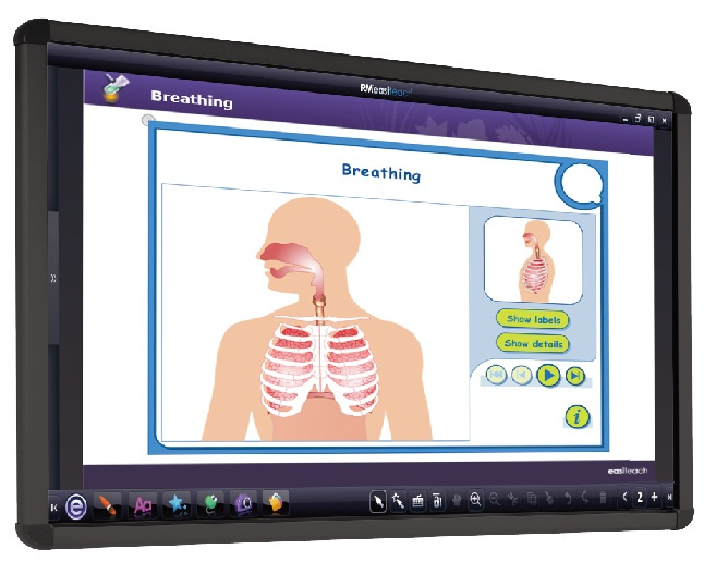 Multi Finger Touch Interactive Whiteboard