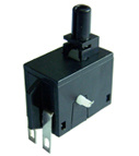Push Buttion Switch (6100-19)