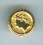Down Hole Button