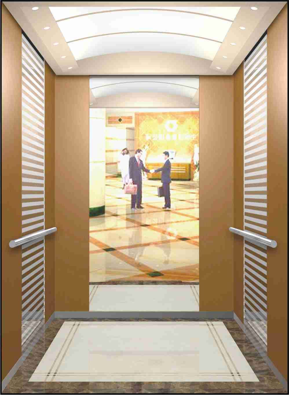 Beautiful Passenger Elevator