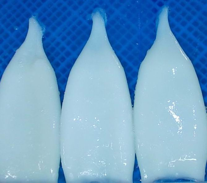 Frozen Squid Tube