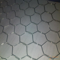 Hexagonal Wire Netting ISO9001 Manufacturer