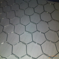 Hexagonal Wire Netting ISO9001 Manufacturer