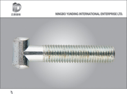 China Good Quality T Bolt with Nut, Good Fastener Manufacture Factory in Zhejiang.