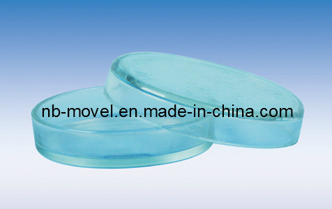 Petri Dish