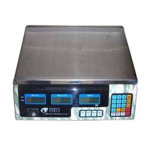 Electronic Computing Scale (ACS-626)