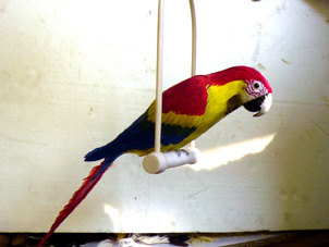 Simulation Feather Parrot