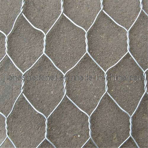 Hexagonal Wire Netting