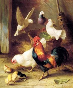 Painting(Chicken and Pigeon)