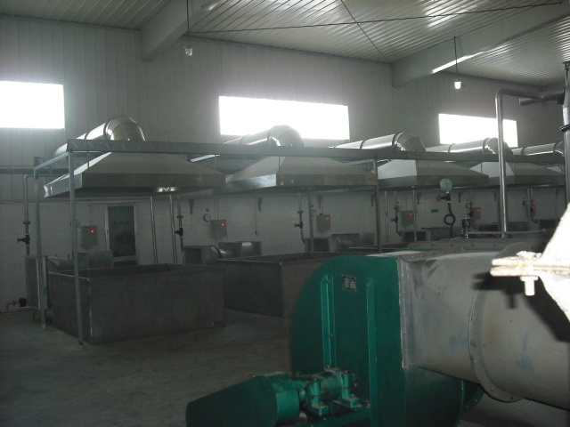 Small Fruit Drying Machine