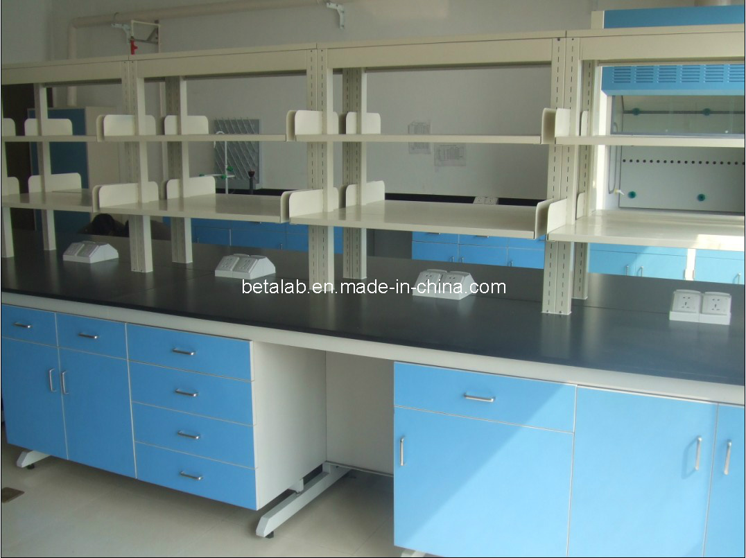 Island Bench Lab Furniture (Beta-C-01-22)