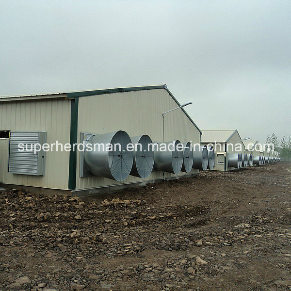 Light Steel Structure Chicken Shed