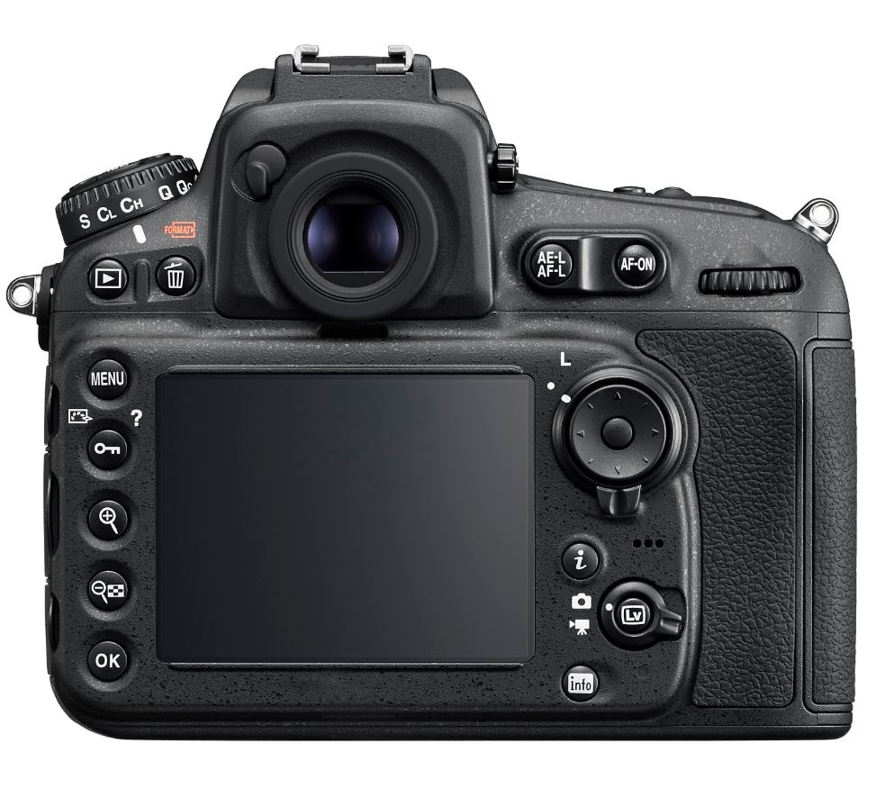 Best DSLR Camera for Beginners