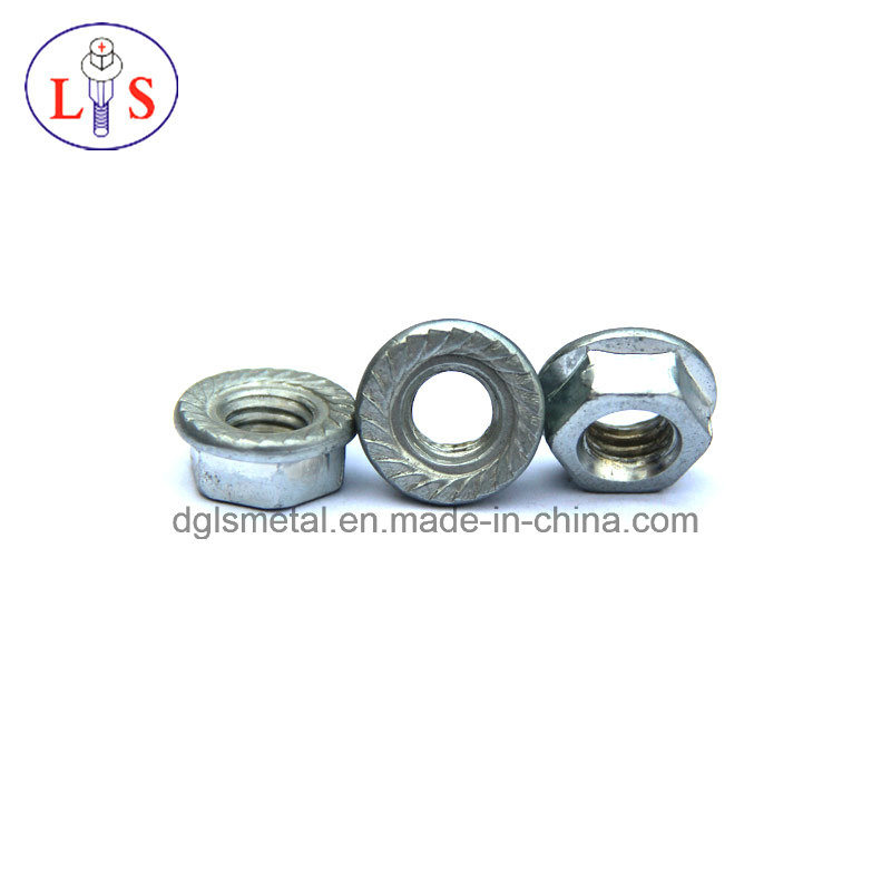 Hex Nut/Hexagon Nut/Flange Nut with High Quality