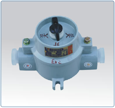 Explosion-Proof Illuminating Switch (BZM / SW-10)
