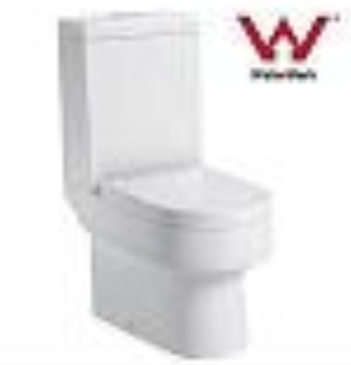 Hot Sale Washdown Two Pieces Toilet Watermark Westerntoilet Bowl (WDS100)