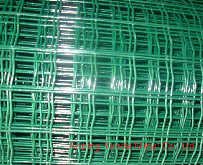Welded Wire Mesh (YND-WM-01)