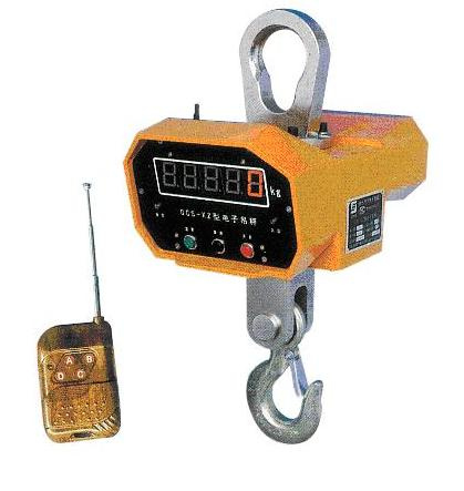 Electronic Crane Scale