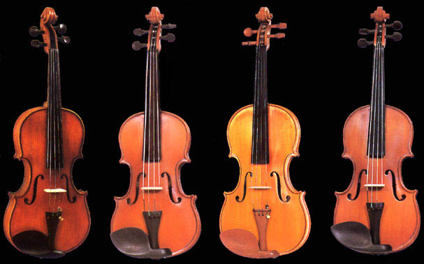 Violin