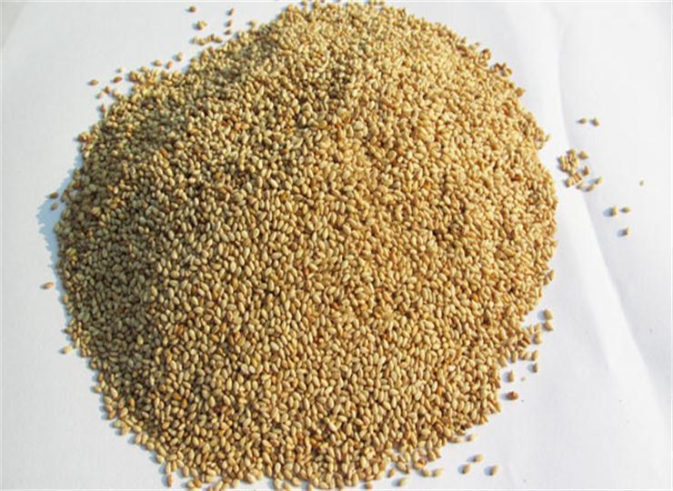 White Hulled Sesame Seeds for Sale