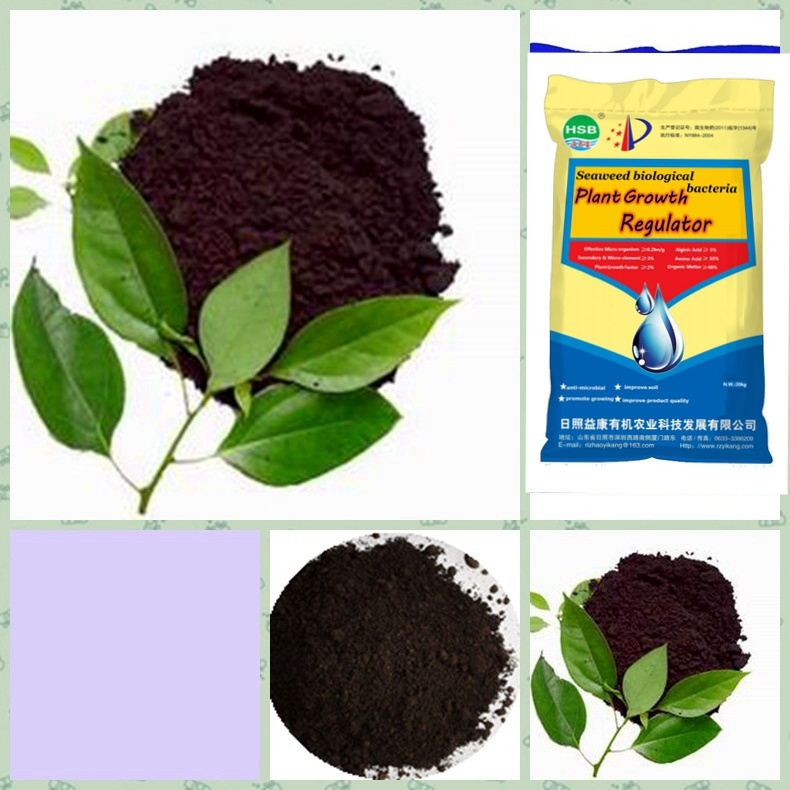 . Algae Bio Organic Fertilizer with Plant Growth Regulator