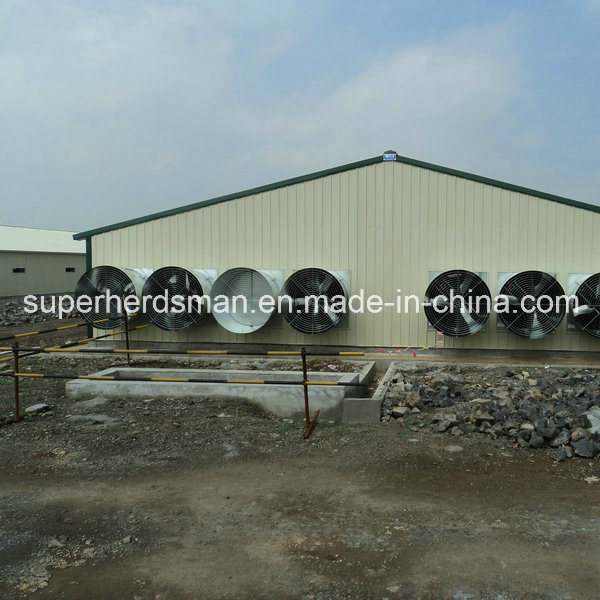 High Quality Light Steel Structure Poultry House for Chicken