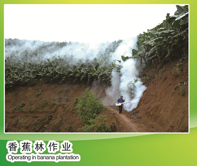 Effective Portable Thermal Fogger for Pest Killing (6HYC-42B)
