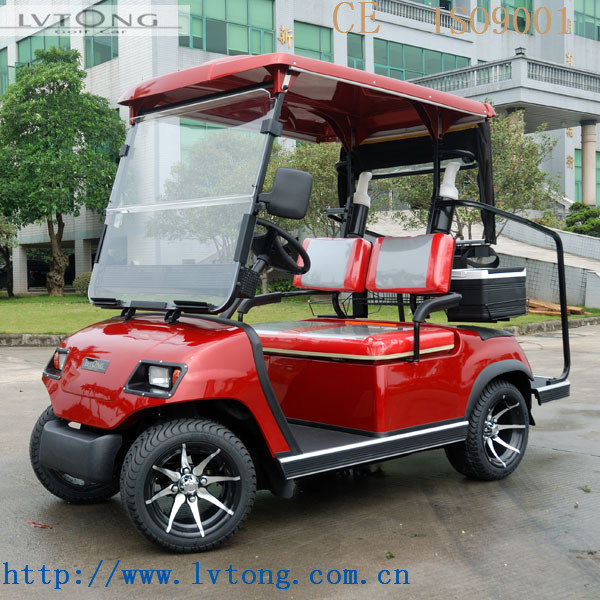 Lvtong Brand 2 Passenger Electric Car Lt-A2