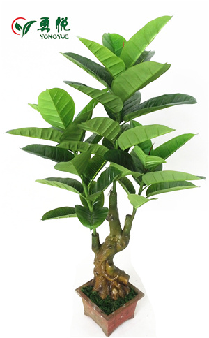 Yongyue 0811 Hot Sale Heads Artificial Ficus Elastica for Wholesale