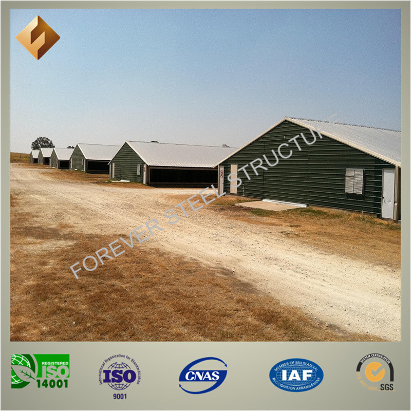China Professional Manufacture Steel Structure Poultry House