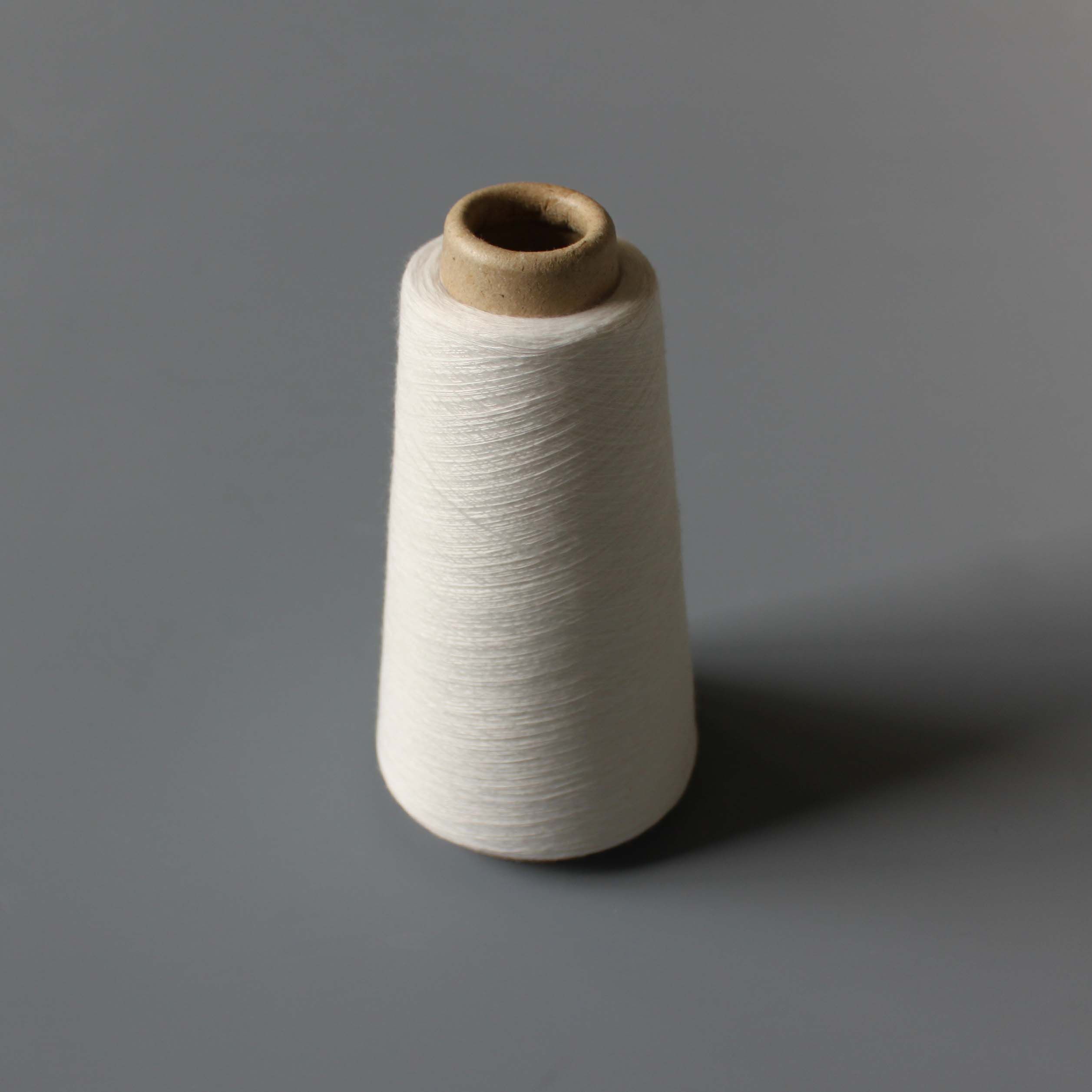 Raw White Polyester Yarn