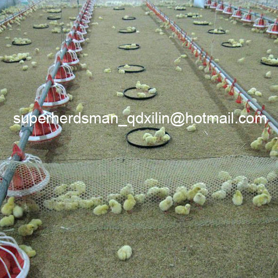 High Quality Automatic Poultry Feeding and Dinking System for Chicken