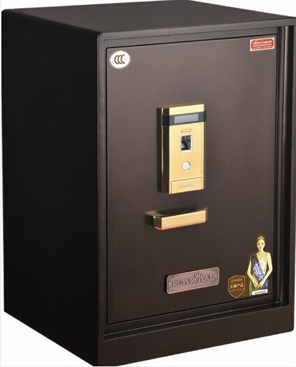 Fingerprint Safe