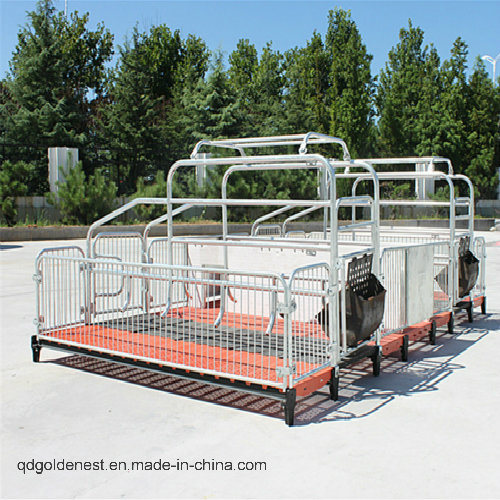 Cast Iron Farrowing Crates for Pig Farming Solution (JCJX-64)