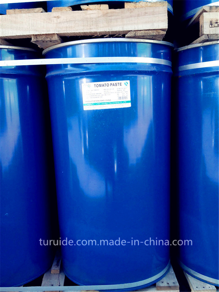 in Drum Good Price Tomato Paste